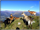 foto Monte Crocione